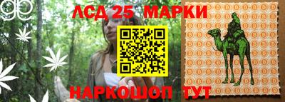 шишки Новозыбков