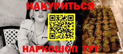 шишки Новозыбков