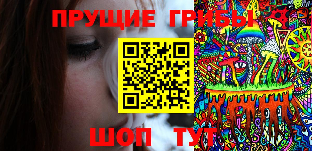 Северобайкальск  Псилоцибиновые грибы ЛСД  Вход с VPN 