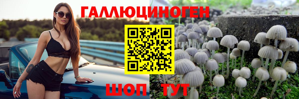 Галлюциногенные грибы MAGIC MUSHROOMS Северобайкальск